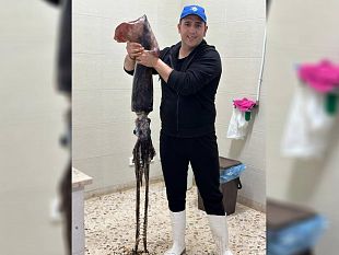 pesca-record-a-san-vito-lo-capo-catturato-maxi-totano