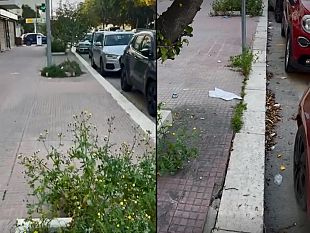 trapani-sporcizia-e-incuria-in-piazza-ciaccio-montalto