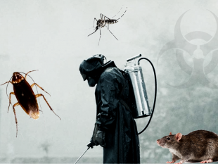 custonaci-8-luglio-in-programma-il-2-intervento-di-deblattizzatine