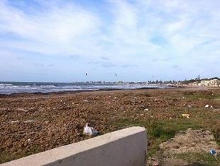 mazara-confcommercio-necessario-intervento-tempestivo-di-rimozione-dei-detriti-sulla-spiaggia-di-tonnarella