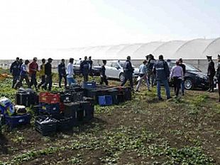 mazara-e-marsala-sfruttamento-di-manodopera-lavoro-nero-e-caporalato-nelle-aziende-vitivinicole