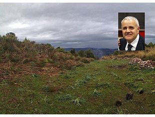 antonio-david-tempi-maturi-per-la-riforma-del-comparto-forestale-anzi-gia-stagionati