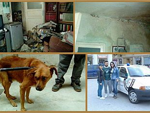 marsala-le-guardie-per-l-ambiente-salvano-un-cane-da-una-casa-lager