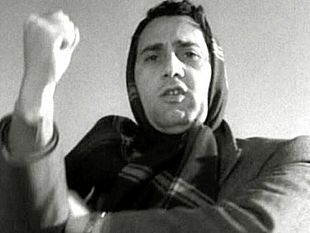 una-punta-di-sal-gli-italiani-non-sono-scemi