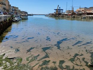 mazara-il-comune-emana-bando-per-lacquisto-di-una-draga