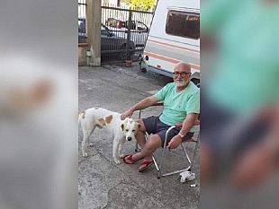 luigi-il-randagio-simpatico-storia-di-un-cane-e-di-umani-che-mordono