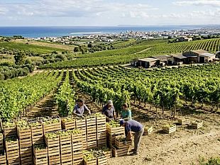 le-cantine-sociali-incontrano-la-cia-a-mazara-del-vallo-per-affrontare-il-paradosso-del-prodotto-venduto-ma-non-ritirato