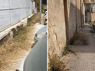 mazara-alta-selvaggia-vegetazione-e-degrado-nelle-vie-tranquillina-e-beccaria