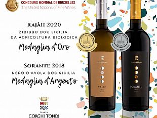tenuta-gorghi-tondi-conquista-il-podio-del-concours-mondial-de-bruxelles