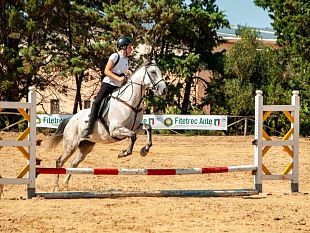 nasce-la-segesta-horse-cup-2026-a-buseto-palizzolo-la-finale-del-campionato-regionale-fitetrec-ante