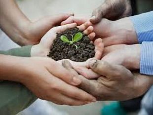 ultime-della-sera-infanzia-violata