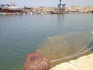 prima-la-puzza-di-gasolio-e-dopo-versamento-di-olio-all-interno-del-porto-canale-intervento-della-capitaneria-di-porto
