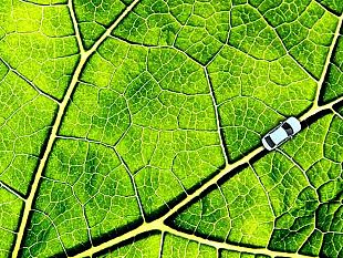mazara-bando-mobilita-green-interrogazione-del-consigliere-comunale-nicolo-la-grutta-del-movimento-5-stelle