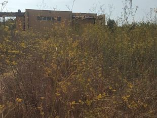 vivere-campobello-il-colpo-di-genio-dellamministrazione-comunale-sui-beni-confiscati