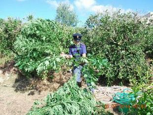 controllo-del-territorio-lotta-alla-criminalita-e-allo-spaccio-di-droga-operazione-modello-trinacria-del-commissariato-di-polizia-di-marsala