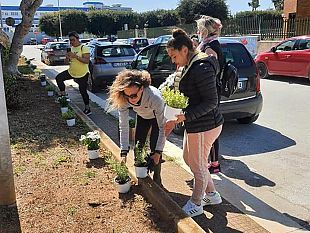 sappusi-e-la-piccola-rivoluzione-fiorita-salvatore-ingui-la-signora-maria-i-giovani-e-i-volontari-per-cambiare-volto-al-quartiere-popolare