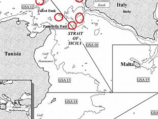 parco-eolico-off-shore-il-no-della-pesca-siciliana-e-delle-isole-egadi-si-attende-il-parere-dei-sindaci-delle-principali-citta-del-trapanese