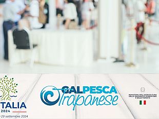 trapani/il-gal-pesca-trapanese-protagonista-al-g7-dell-agricoltura-in-programma-a-siracusa