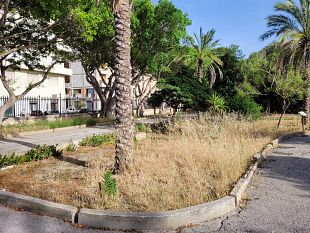 trapani-villa-margherita-tra-incuria-ed-erbacce