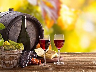 trapani/enogastronomia-slow-wine-fair-la-sicilia-porta-a-bologna-vitigni-autoctoni-e-biologici