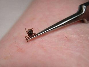 muore-donna-mazarese-punta-da-zecche