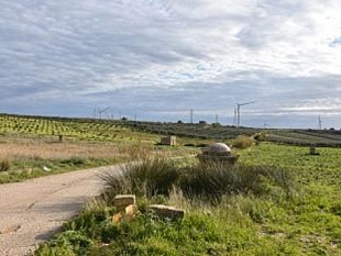 a-castelvetrano-italia-nostra-si-interroga-sui-parchi-eolici-in-contrada-bigini