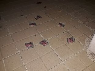 erice-cani-in-pericolo-a-causa-di-bustine-con-veleno-per-topi-gettate-in-strada