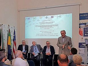 i-risultati-del-progetto-sistemi-innovativi-per-la-conservazione-dei-prodotti-ittici-refrigerati