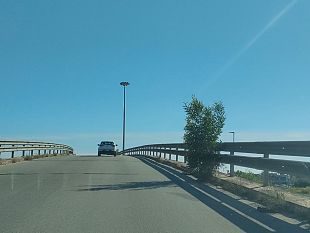 mazara-un-albero-sul-cavalcavia-di-via-degli-archi-pericolo-per-la-circolazione