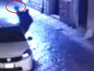 mazara/denunciato-il-giovane-che-ha-danneggiato-un-auto-del-comune-di-mazara
