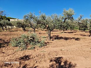 castelvetrano/furto-nella-notte-al-consorzio-di-bonifica-agrigento-3
