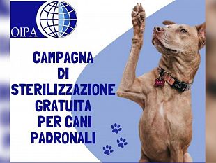 oipa-trapani-lancia-una-campagna-di-sterilizzazione-gratuita-per-i-cani-padronali