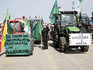 marsala/marsala-grande-partecipazione-ieri-alla-protesta-degli-agricoltori