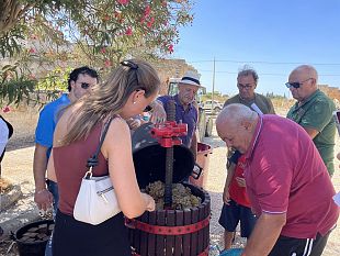 montevago-dal-25-al-27-settembre-torna-la-festa-del-vino-tra-sapori-musica-e-legalita