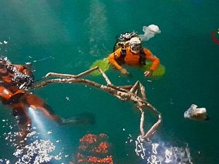 cade-in-mare-con-lauto-morto-un-anziano