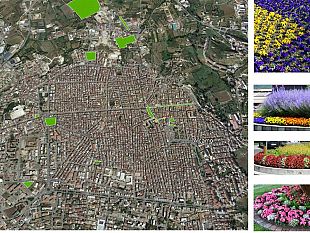 alcamo-ha-preso-il-via-la-manutenzione-straordinaria-del-verde-pubblico