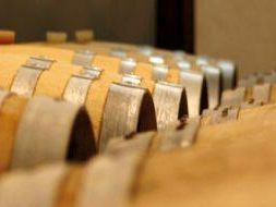 rinnovate-le-cariche-sociali-della-associazione-strada-del-vino-di-marsala-terre-d-occidente