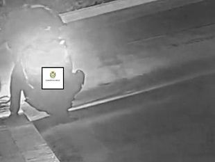 erice-abbandono-di-rifiuti-sanzionate-30-persone-tramite-le-fototrappole