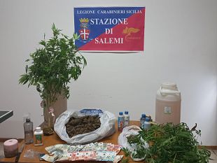 piante-di-marijuana-coltivate-nel-b