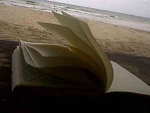 ultime-della-sera-introspezione