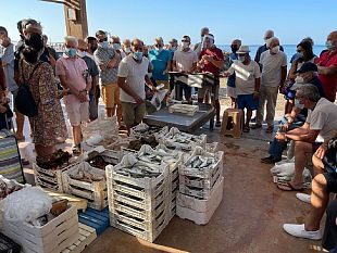 il-sindaco-alfano-smentisce-castelvetrano-rinasce