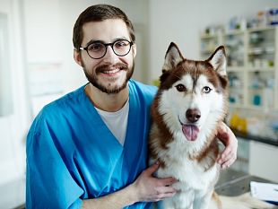 trapani/sanita-a-siracusa-celebrata-la-giornata-della-prevenzione-veterinaria