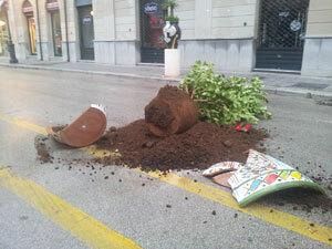 rotti-tre-vasi-in-corso-umberto-i-cristaldi-disgustato-da-questa-ennesima-azione-di-vandalismo