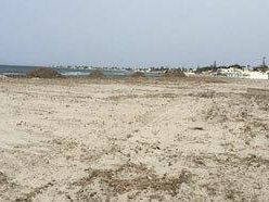 la-disinfestazione-dei-litorali-mazaresi-sara-effettuata-la-notte-tra-lunedi-13-luglio-e-martedi-14-luglio