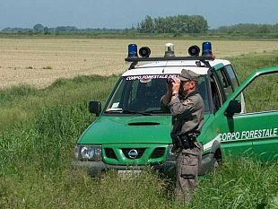 agricoltura-oggi-a-palermo-si-discute-del-contratto-dei-forestali