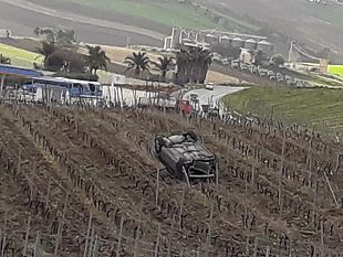 auto-si-ribalta-e-finisce-in-mezzo-ad-un-vigneto-sul-posto-la-polizia-municipale