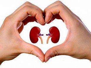 domani-per-la-giornata-mondiale-del-rene-esami-gratuiti-al-pta-di-trapani