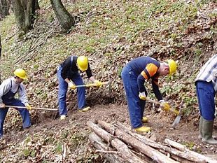 forestali-che-dire-che-fare-ce-solo-da-imprecare