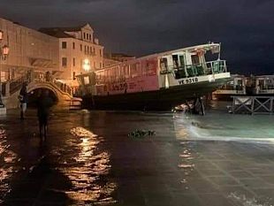 venezia-in-ginocchio-la-lettera-dellassessore-alla-cultura-chiara-modica-dona-dalle-rose