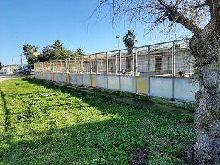marsala-si-punta-a-migliorare-la-struttura-adibita-a-canile-municipale